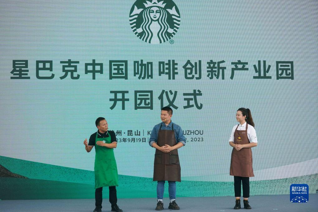 金顶娱乐
